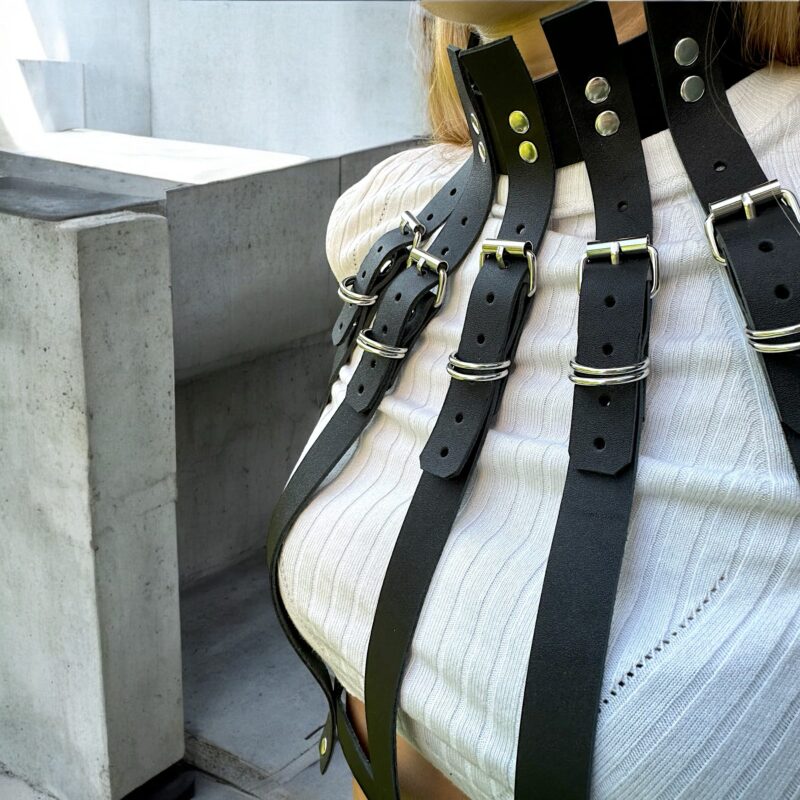 harness do biustonosza